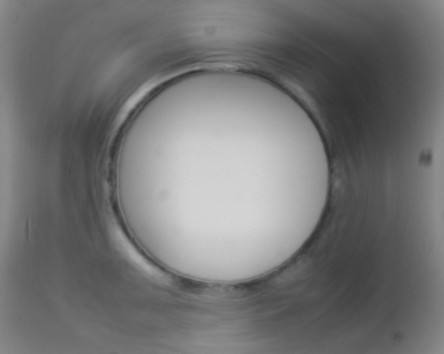 X0000112851091200908211025