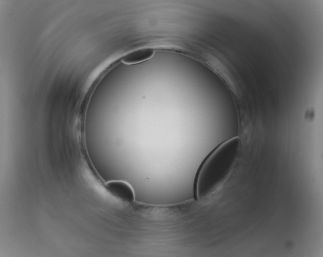 X0000112851092200908211025