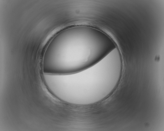 X0000112851093200908211025