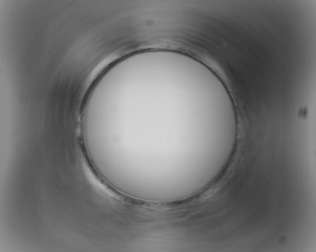 X0000112851095200908211025