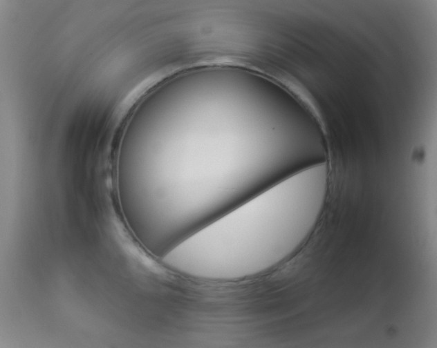 X0000112851096200908211025