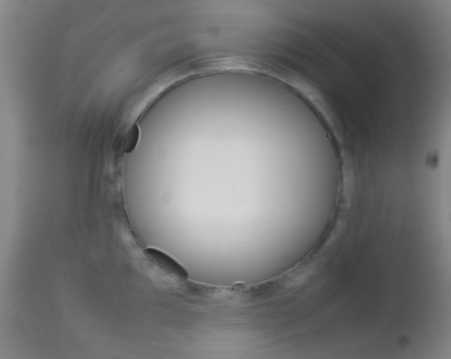 X0000112851097200908211025