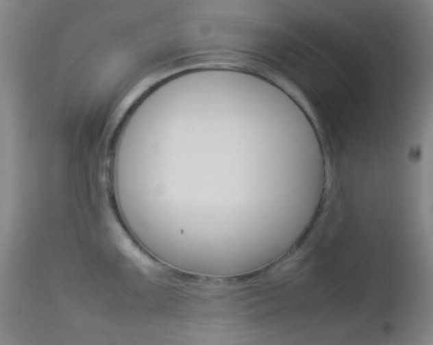 X0000112851099200908211025