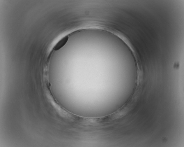 X0000112851101200908211025