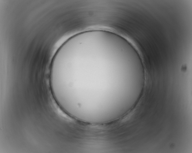 X0000112851102200908211025