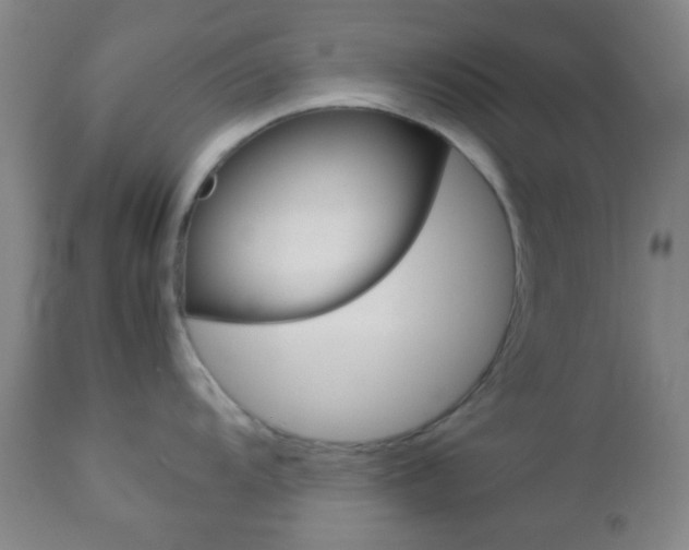 X0000112851104200908211025