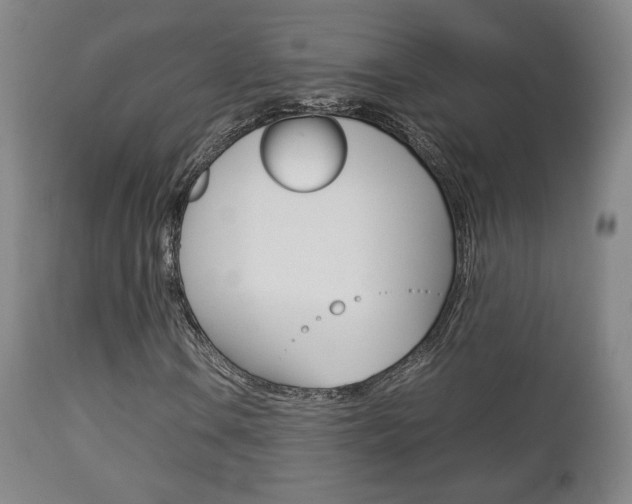 X0000112851106200908211024