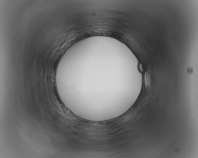 X0000112851107200908211024