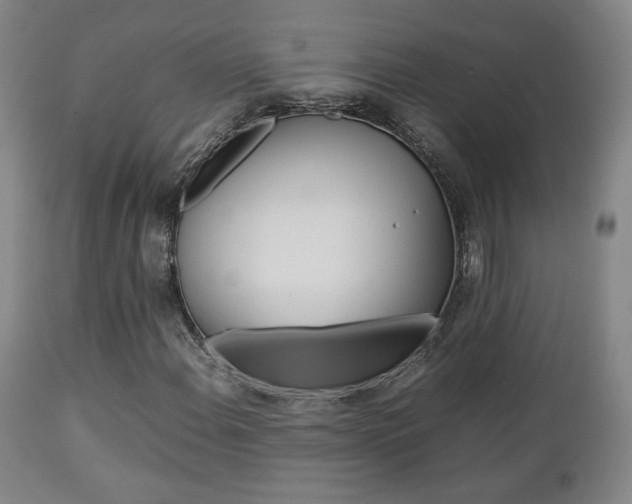 X0000112851108200908211024
