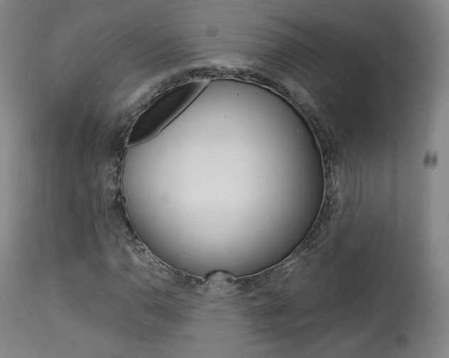 X0000112851110200908211024