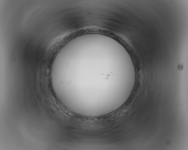 X0000112851111200908211024