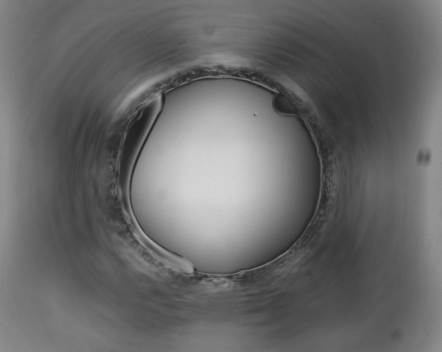 X0000112851112200908211024