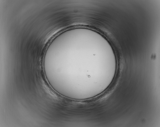 X0000112851113200908211024
