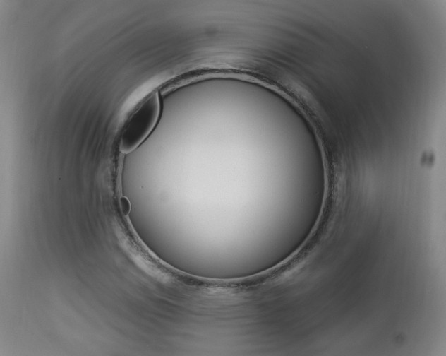 X0000112851114200908211024