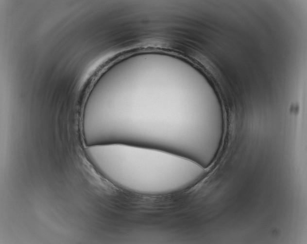 X0000112851115200908211024