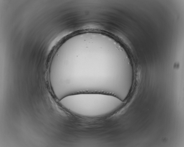 X0000112851117200908211024