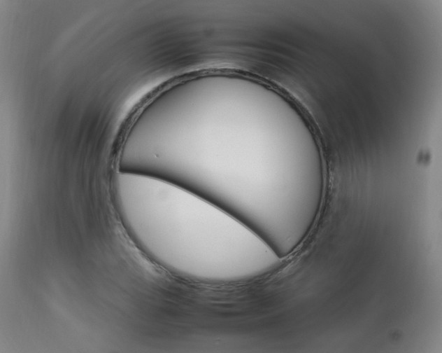 X0000112851119200908211024