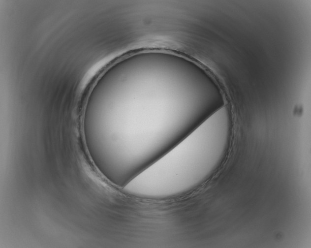 X0000112851120200908211024