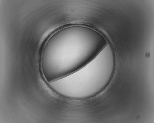 X0000112851122200908211024