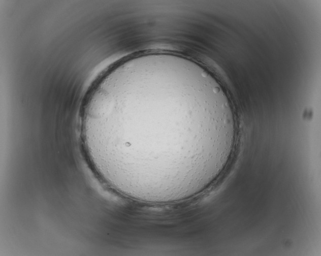 X0000112851125200908211024