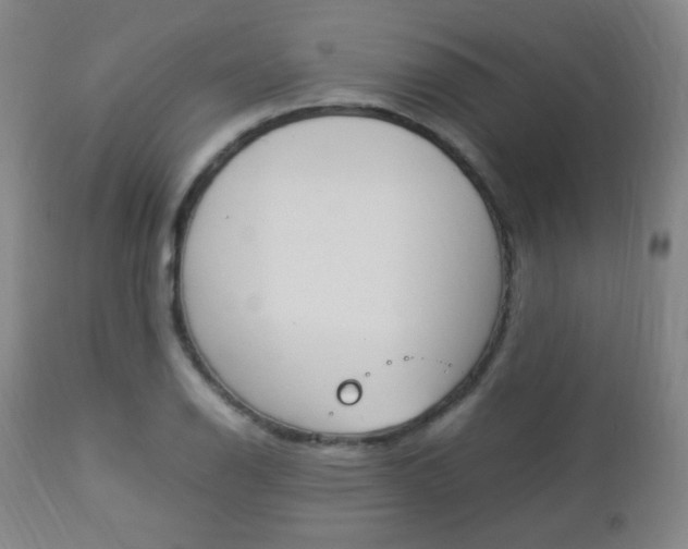 X0000112851126200908211024
