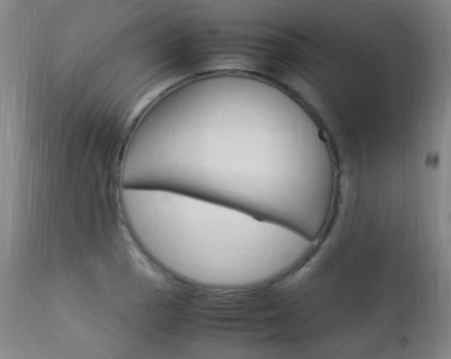 X0000112851129200908211024