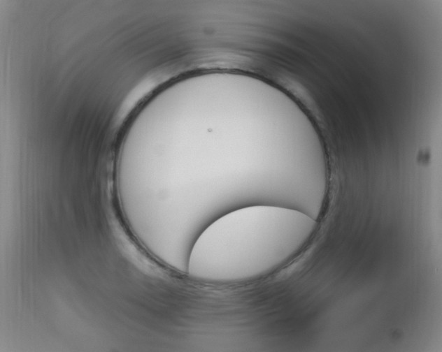 X0000112851130200908211024