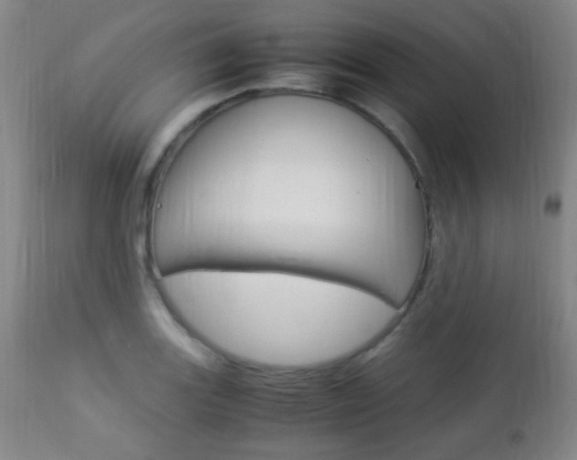X0000112851131200908211024