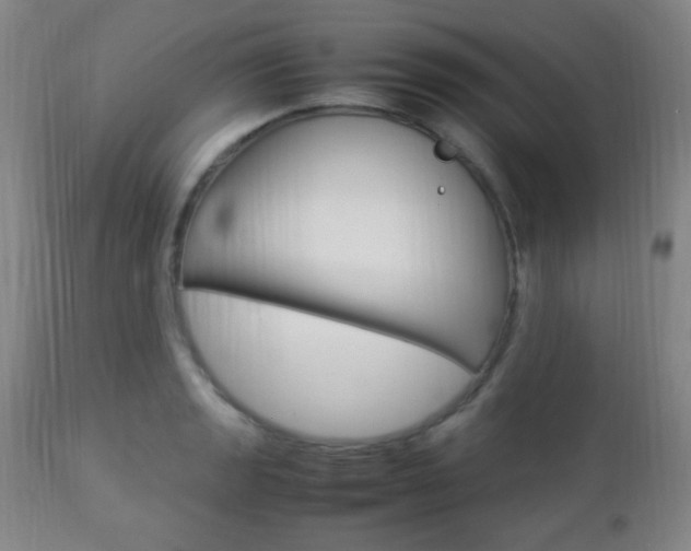 X0000112851133200908211024