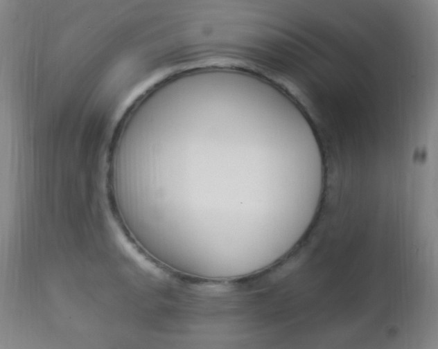 X0000112851134200908211024