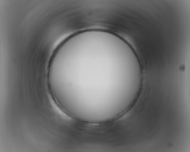 X0000112851135200908211024