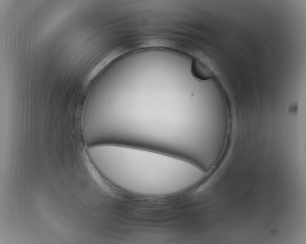 X0000112851137200908211024