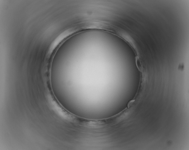 X0000112851138200908211024