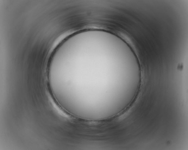 X0000112851141200908211025