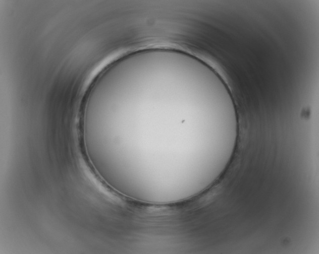 X0000112851142200908211025