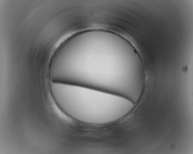 X0000112851143200908211025