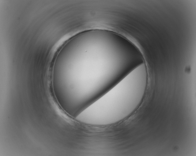 X0000112851144200908211025