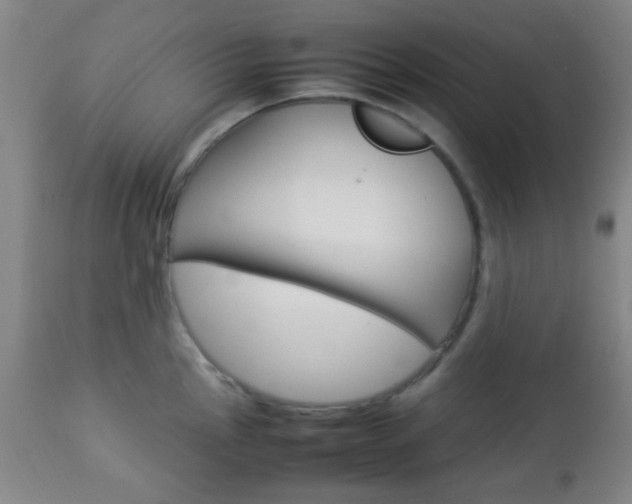X0000112851145200908211025