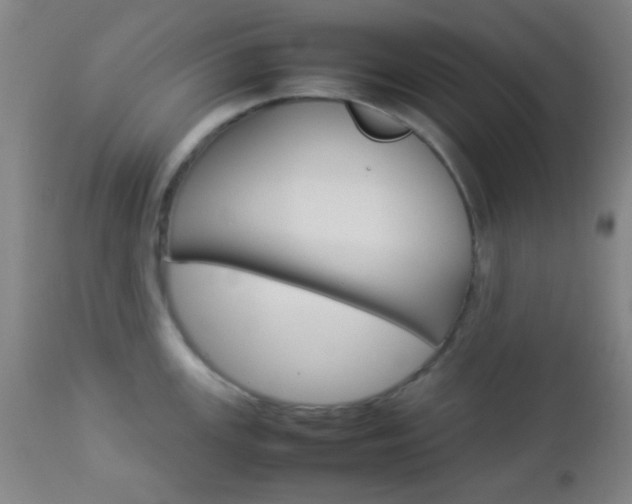 X0000112851147200908211025