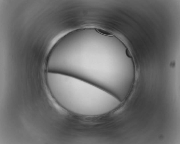 X0000112851149200908211025