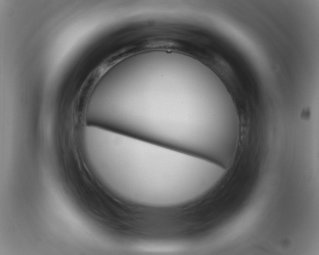 X0000112851151200908211025