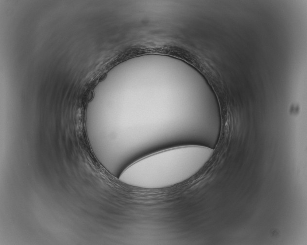 X0000112851156200908211024