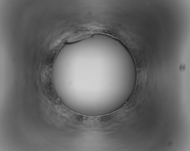 X0000112851157200908211024