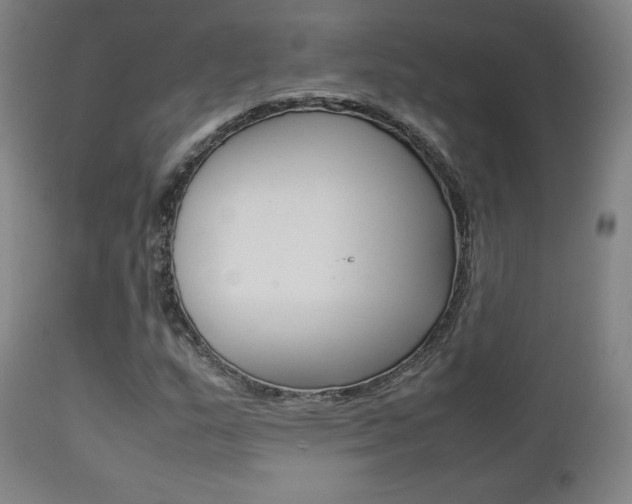 X0000112851159200908211024