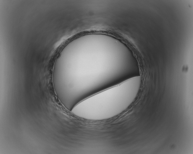 X0000112851160200908211024