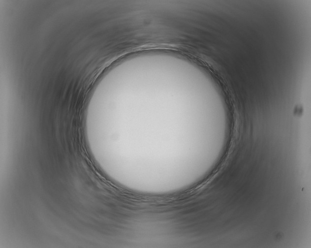 X0000112851161200908211024