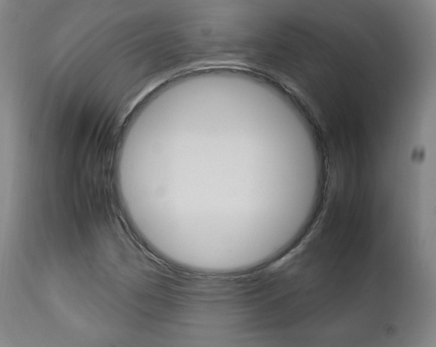 X0000112851162200908211024