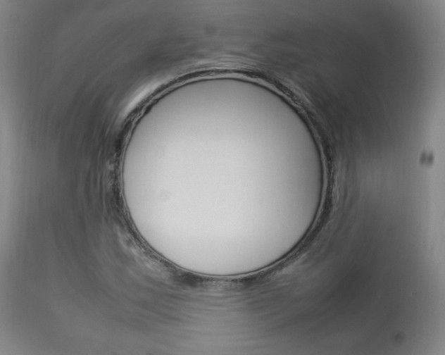 X0000112851163200908211024