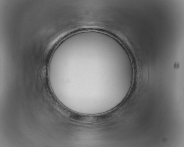 X0000112851167200908211023