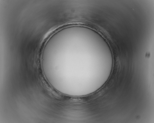 X0000112851168200908211023